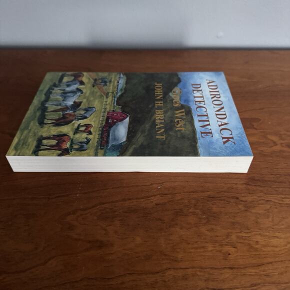 John Briant The Adirondack Detective Series Lot of 3 Trade Paperback One Signed - Picture 15 of 16